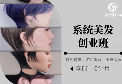 系统美发创业班